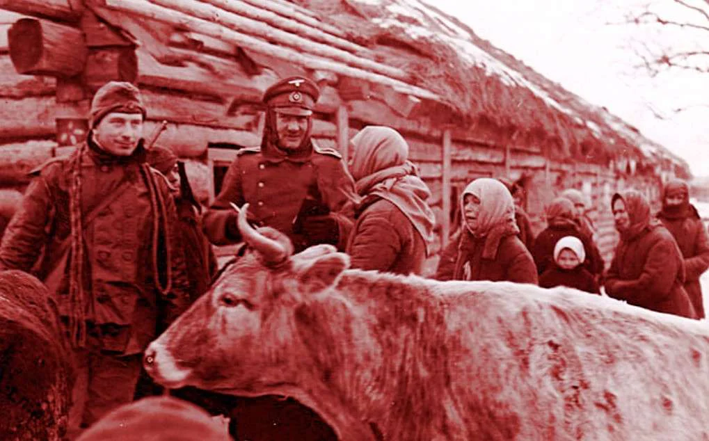 Фашисты отбирают корову у крестьян.