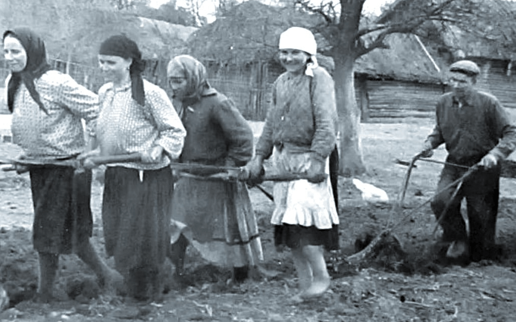 Советские крестьяне пашут поле без трактора, 1940-е гг.