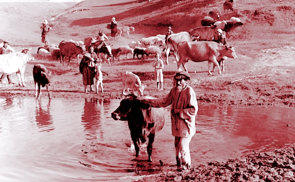 Советский деревенский пастух 1940-х гг.