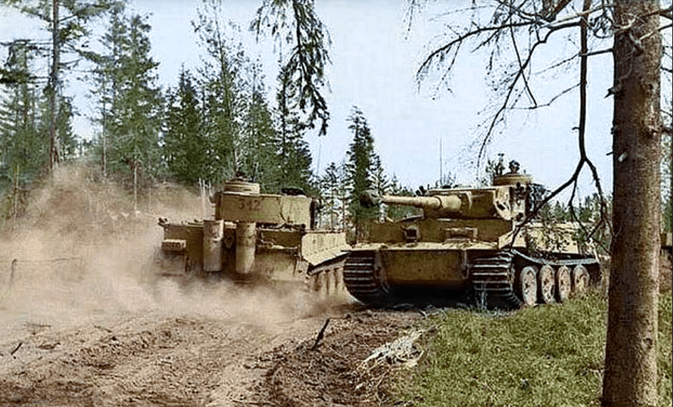 Тигры из 3 роты s.Pz.Abt. 502 северо-западнее Старой Руссы, 1943 г.