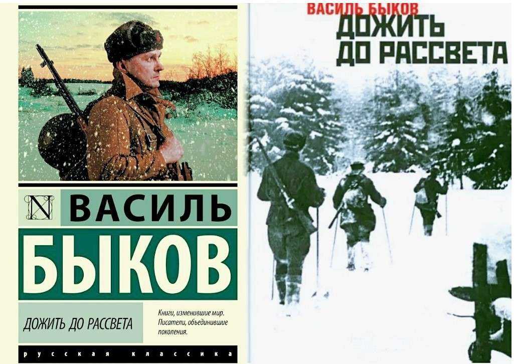Некоторые варианты обложки книги "Дожить до рассвета".