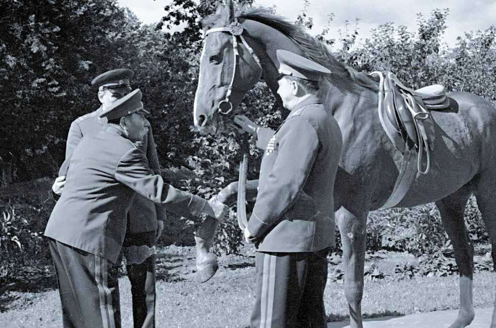 С. М. Буденный здоровается с конём, 1969 г.